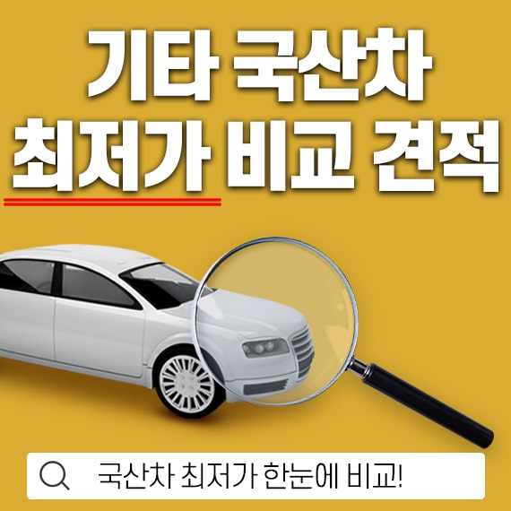 기타 국산차 렌탈 상품 이미지