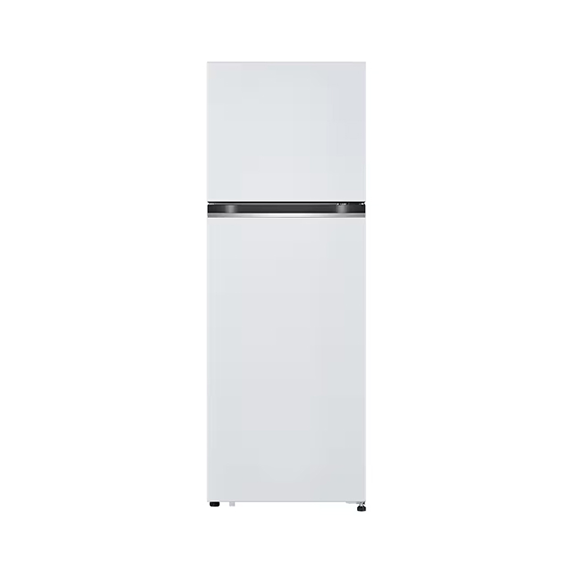 LG 일반형 냉장고 241L (B245W22) 렌탈 상품 이미지