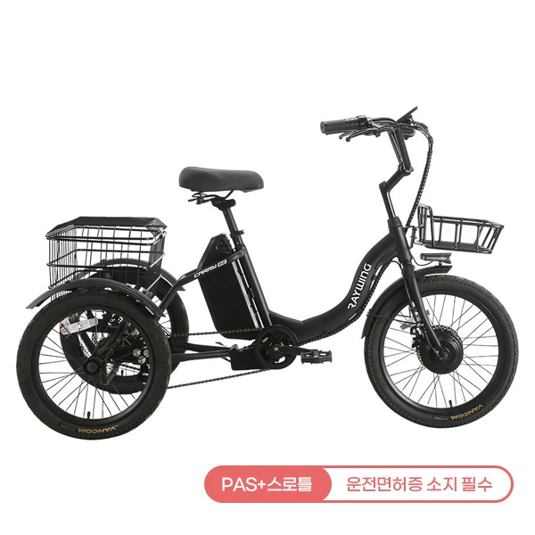 레이윙 캐리 이지 전기자전거 블랙 (CARRYEZ_10A_BK) 렌탈 상품 이미지