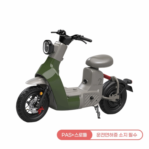 레이윙 타입2 전동스쿠터 (그린 or 옐로우) (TYPE 2) 렌탈 상품 이미지