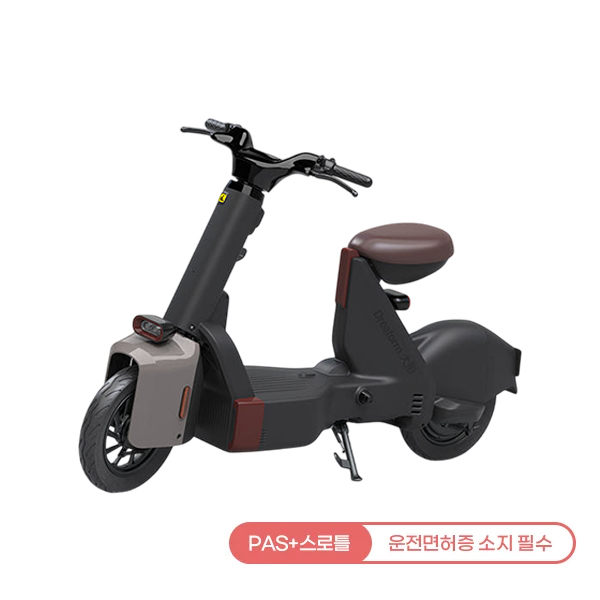 레이윙 타입1 전동스쿠터 (색상 3중 1택) (TYPE 1) 렌탈 상품 이미지
